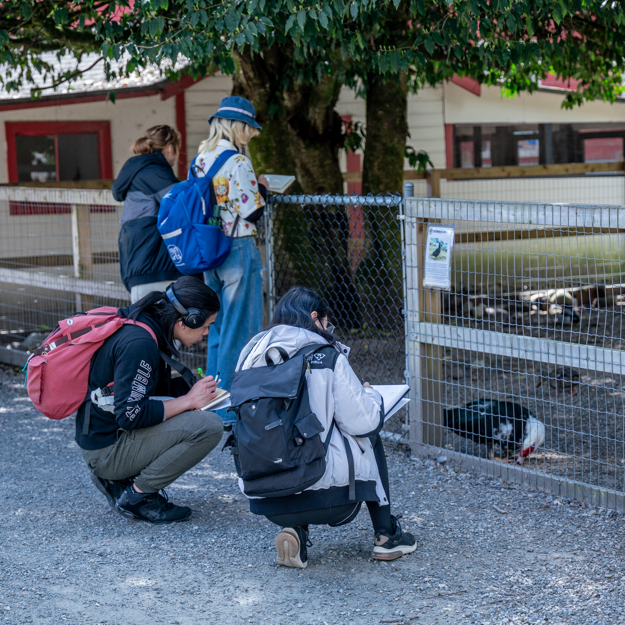 3 VanArts Animation Students Sketching a Pig