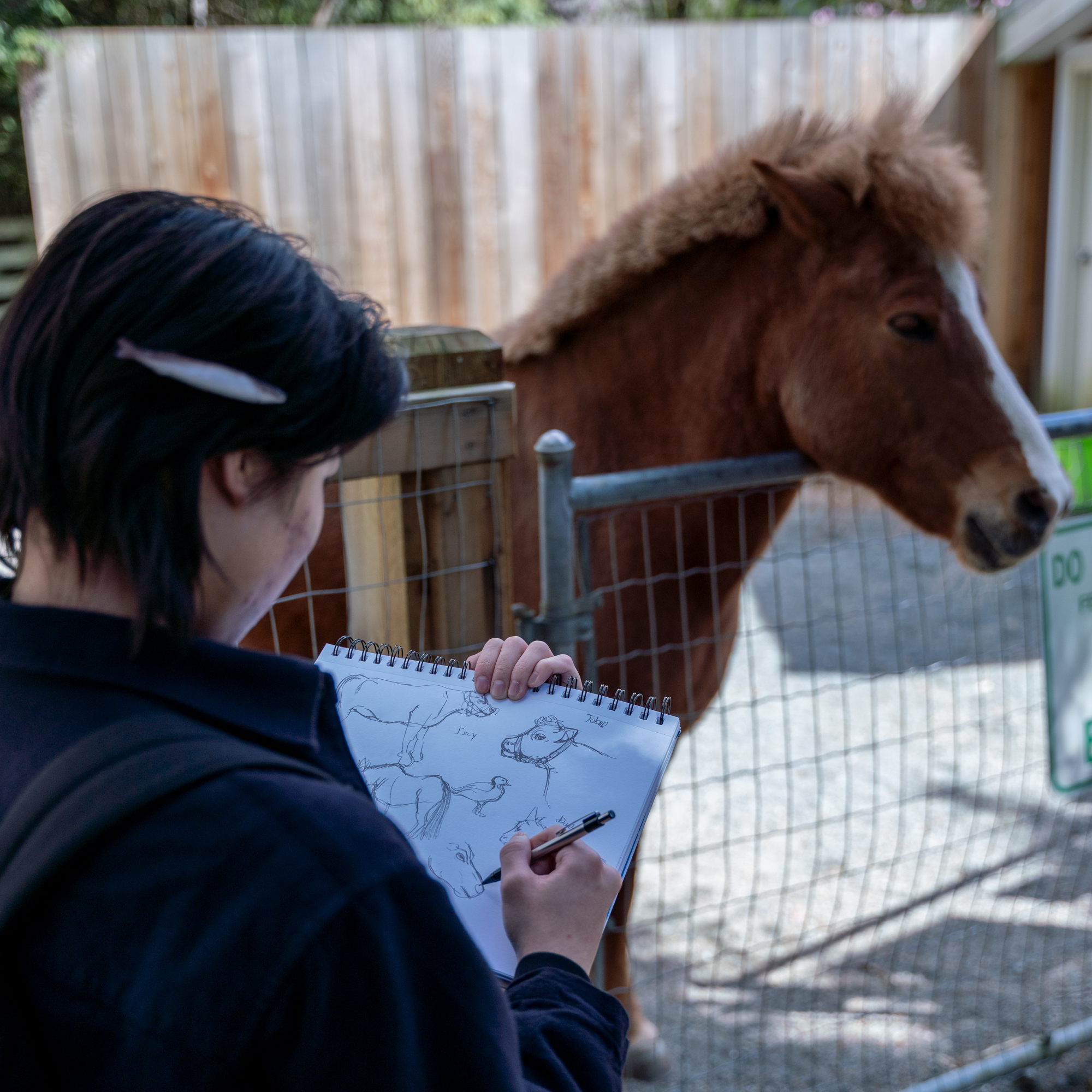 VanArts Animation Student Sketching a Horse's Head